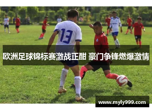 欧洲足球锦标赛激战正酣 豪门争锋燃爆激情 欧洲足球锦标赛激战正酣 豪门争锋燃爆激情