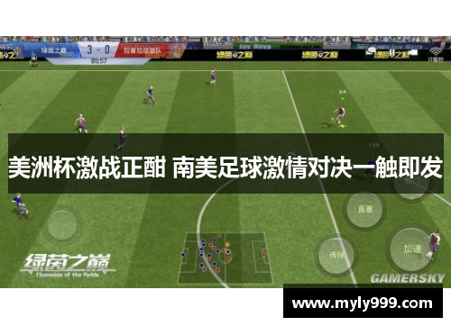 美洲杯激战正酣 南美足球激情对决一触即发 美洲杯激战正酣 南美足球激情对决一触即发