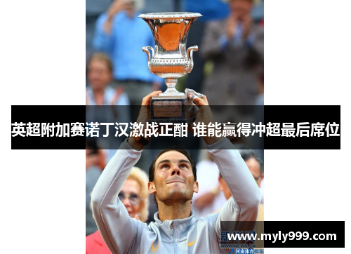 英超附加赛诺丁汉激战正酣 谁能赢得冲超最后席位